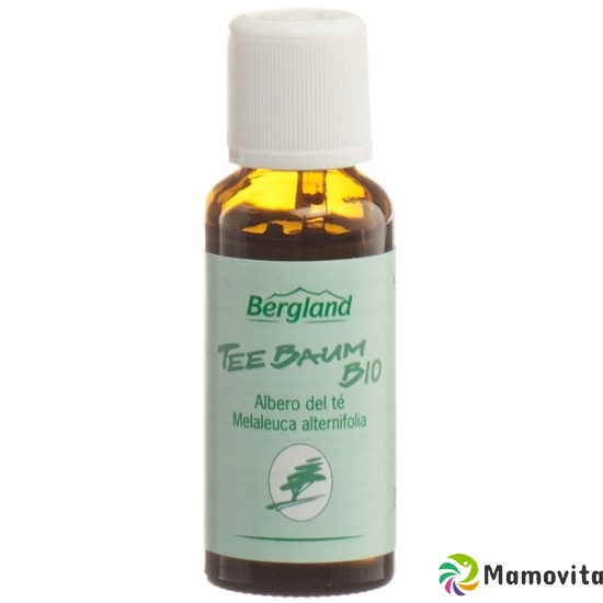 Bergland Teebaum-Öl Bio 30ml buy online