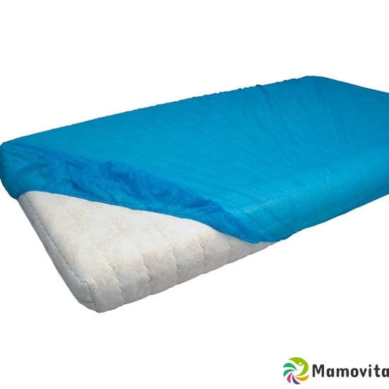 Hausella mattress cover 210x90x20cm PVC blue buy online