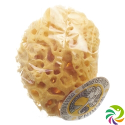 Marina natural sponge Venise 14cm