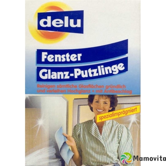 Delu Fensterglanz Putzlinge buy online