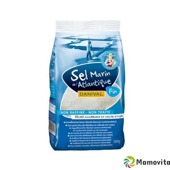 Danival Atlantisches Meersalz Fein 500g buy online