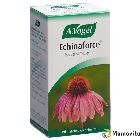 Vogel Echinaforce 400 Tabletten buy online