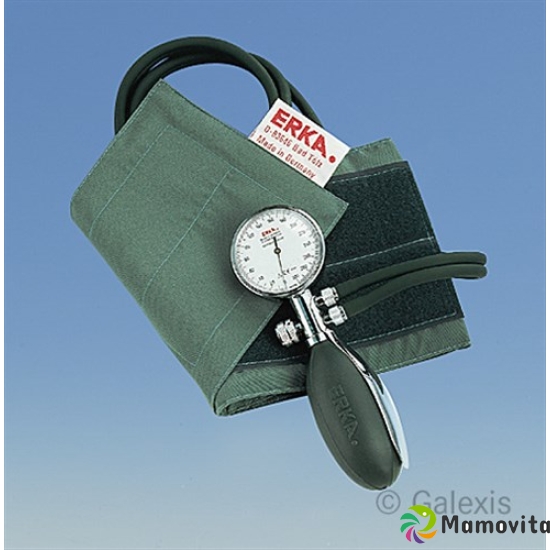 Erka Perfect Aneroid blood pressure apparatus buy online