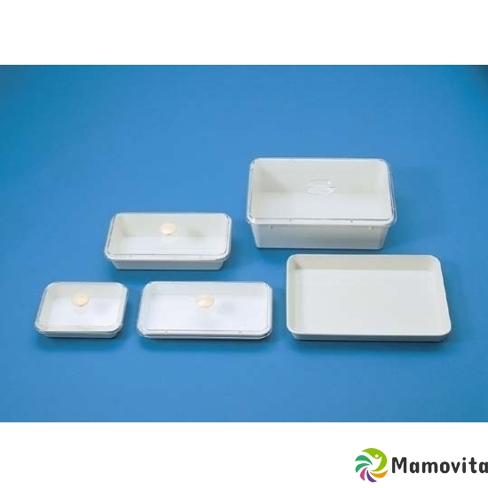 Semadeni plastic tray 29x16x3.5cm melam white buy online