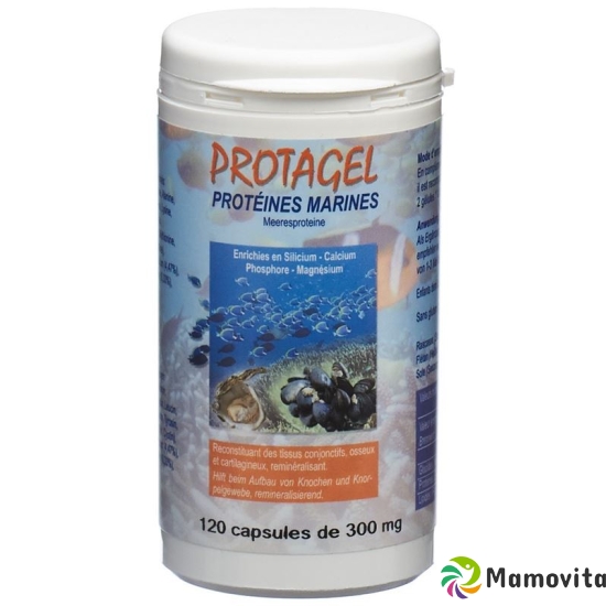 Protagel Complex Acides Amines Dose 120 Stück buy online