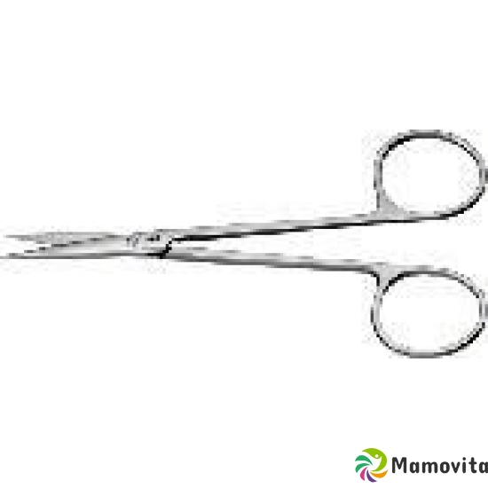 Aesculap dissecting scissors Killner 115mm fine buy online