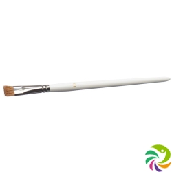 Carnival Color make-up brush extra wide