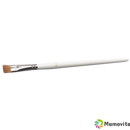 Carnival Color make-up brush extra wide buy online