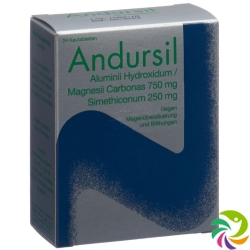 Andursil 24 Kautabletten