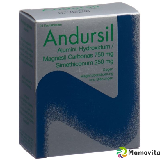 Andursil 24 Kautabletten buy online