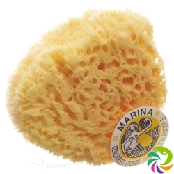 Marina natural sponge Venise 20cm