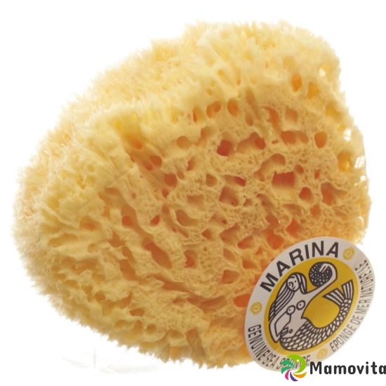 Marina natural sponge Venise 20cm buy online