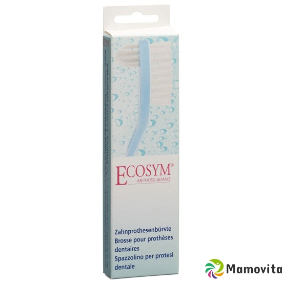 Ecosym denture brush buy online