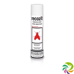 Recozit Insekten Pyrethrum Spray 400ml