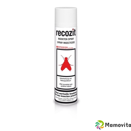 Recozit Insekten Pyrethrum Spray 400ml buy online