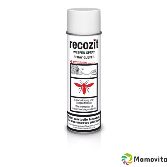 Recozit Wespen Spray 500ml buy online