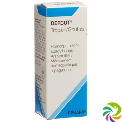 Dercut Tropfen 100ml