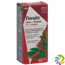 Floradix Vitamins + Organic Iron Capsules 40 Piece