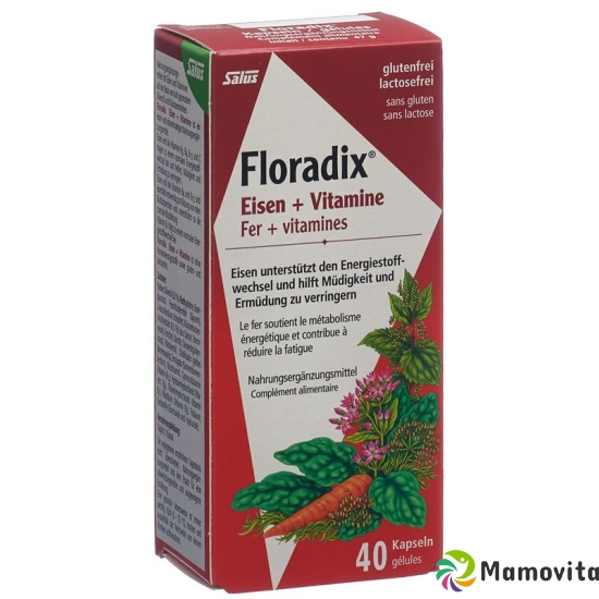 Floradix Vitamins + Organic Iron Capsules 40 Piece buy online