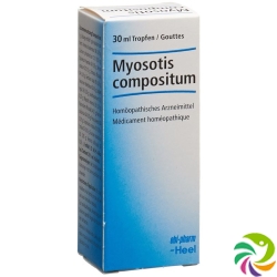 Myosotis Comp Heel Tropfen Flasche 30ml