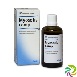 Myosotis Comp Heel Tropfen Flasche 100ml