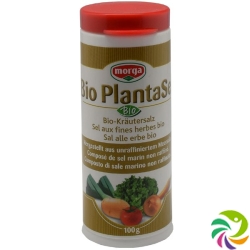 Holle Plantasel Kräutersalz Bio Dose 100g