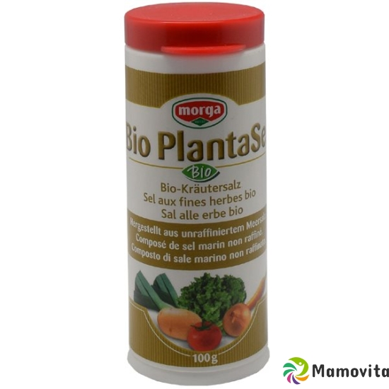 Holle Plantasel Kräutersalz Bio Dose 100g buy online