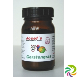 Gerstengras Josefs Pulver Glas 100g