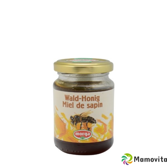 Morga Wald-Honig Glas 220g buy online