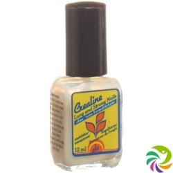 Crealine Nagelhaerter Long And Strong Matt 12ml