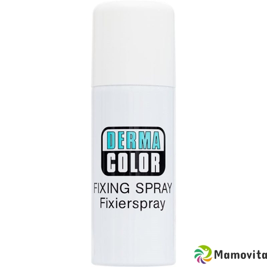 Carneval Color Fixierspray 150ml buy online