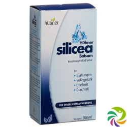 Huebner Silicea Balsam Liquid Flasche 500ml