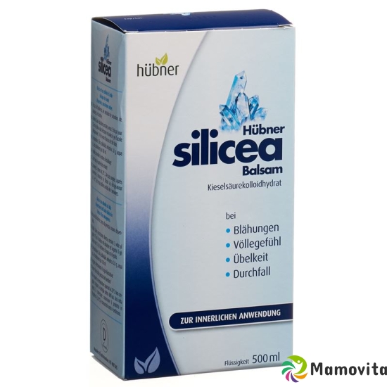 Huebner Silicea Balsam Liquid Flasche 500ml buy online