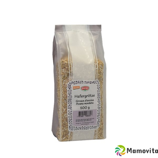 Holle Hafergrütze Demeter 500g buy online