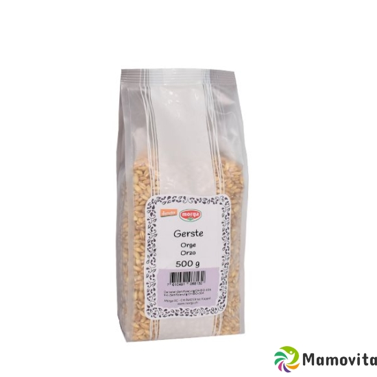 Holle Gersten Demeter 500g buy online