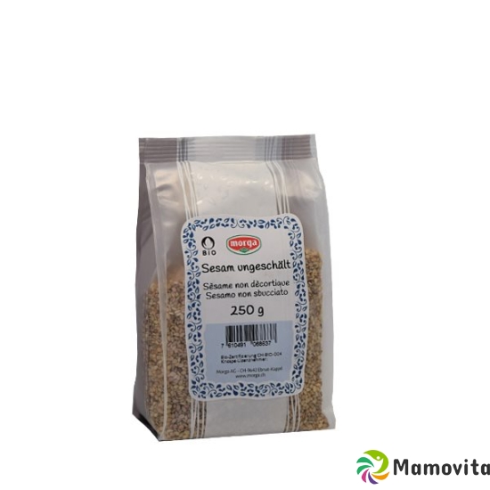 Holle Sesam Ungeschält Knospe 250g buy online