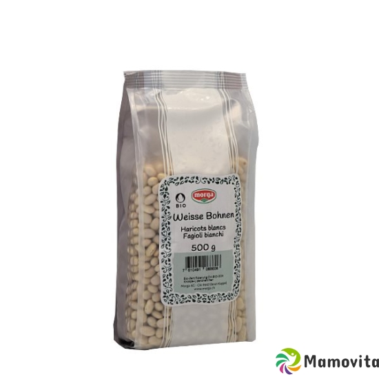 Holle Weisse Bohnen Knospe 500g buy online