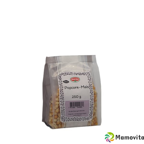 Holle Popcorn Bio 250g buy online