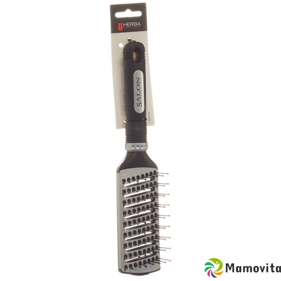 Herba hair dryer brush Skellet 5267 buy online