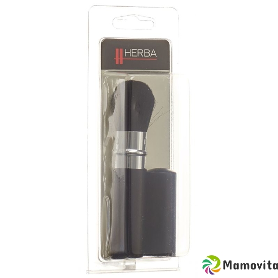 Herba pocket brush 5464 buy online