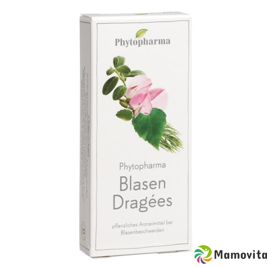 Phytopharma Blasendragees 20 Stück buy online