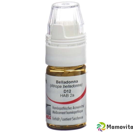 Omida Belladonna Globuli D 12 Dosierhilfe 4g buy online