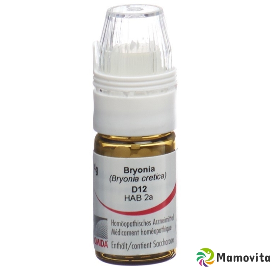 Omida Bryonia Globuli D 12 Dosierhilfe 4g buy online