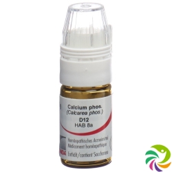 Omida Calcium Phos Globuli D 12 Dosierhilfe 4g