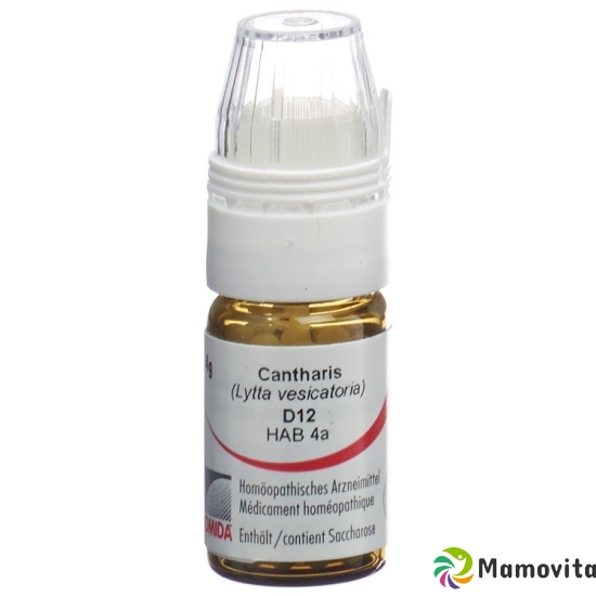 Omida Cantharis Globuli D 12 Dosierhilfe 4g buy online