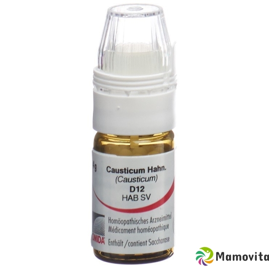 Omida Causticum Hahne Globuli D 12 Dosierhilf 4g buy online