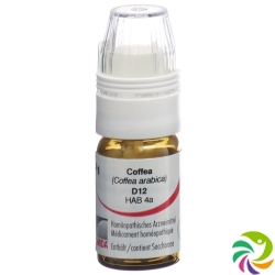 Omida Coffea Globuli D 12 Dosierhilfe 4g