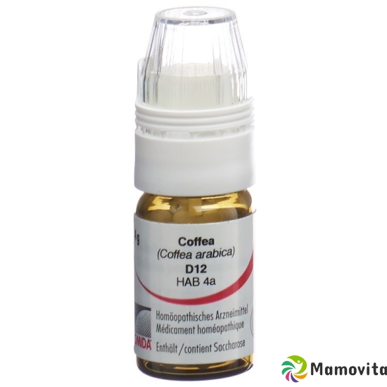 Omida Coffea Globuli D 12 Dosierhilfe 4g buy online