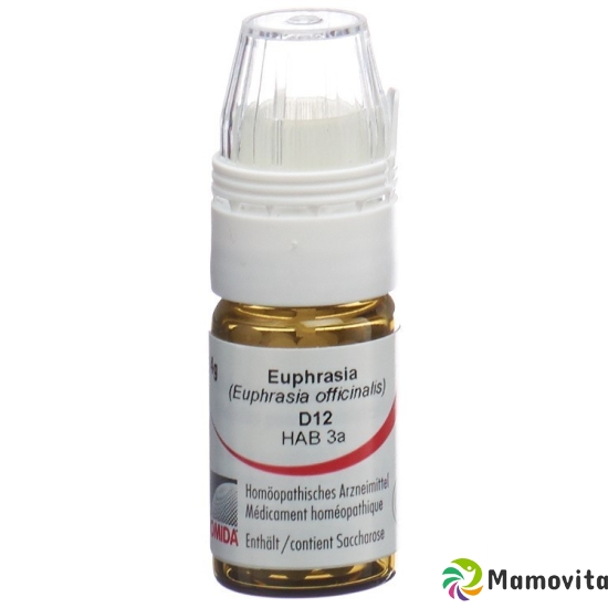 Omida Euphrasia Globuli D 12 Dosierhilfe 4g buy online