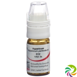 Omida Hypericum Globuli D 12 Dosierhilfe 4g